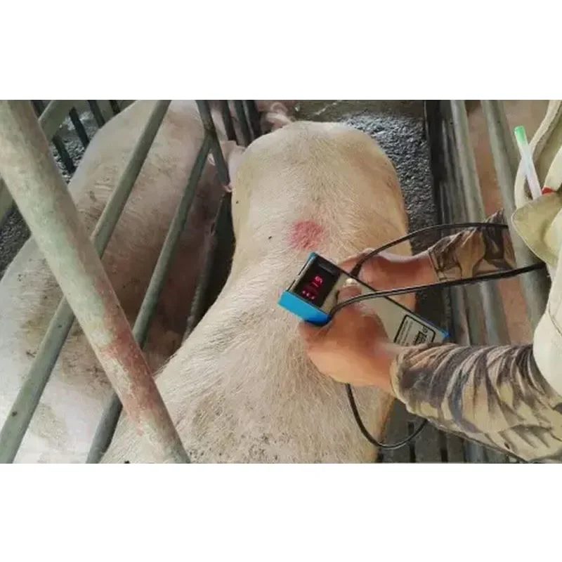 Agriculture Farming And Livestock - Precision Pig Back Fat Detector Farm
