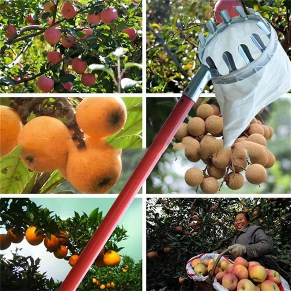 Multi Purpose Telescopic Galva - Farming Agriculture Tools avis et prix