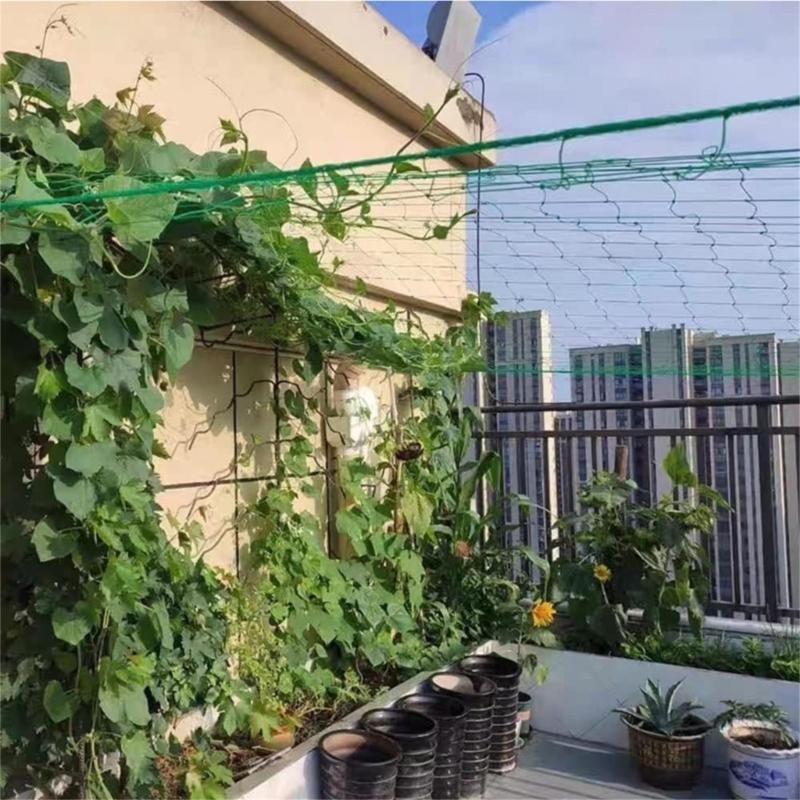 Mesh 9 Strands Agricultural Vi - Agriculture Farming Net avis et prix
