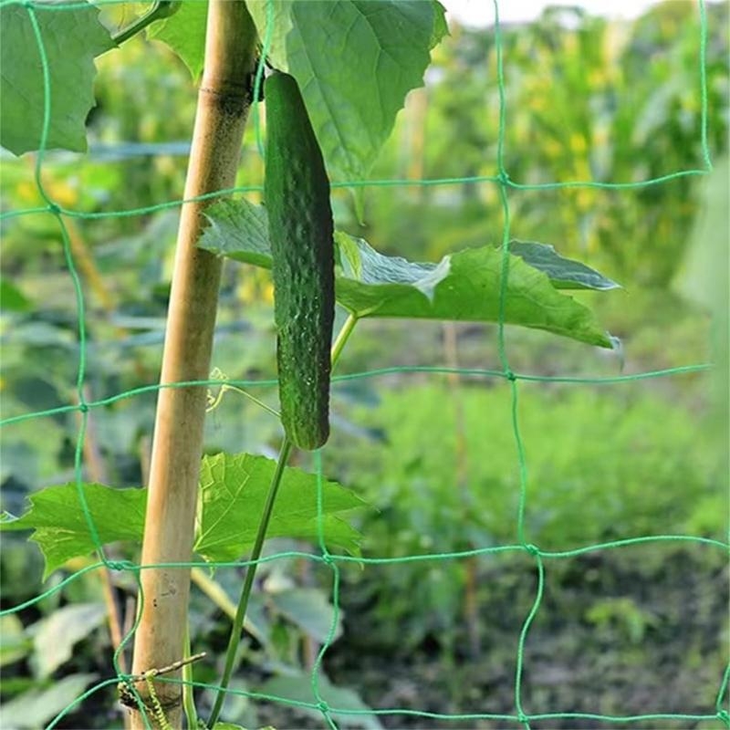 Mesh 9 Strands Agricultural Vi - Agriculture Farming Net avis et prix