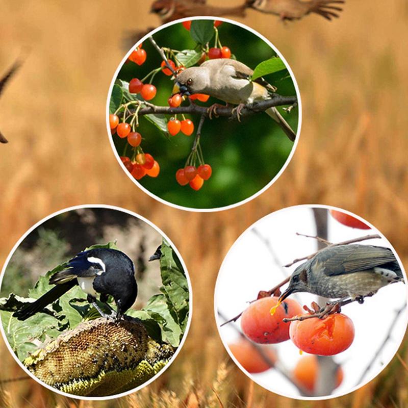 Solar Timer Bird Repeller With - Solar Bird Scarer avis et prix