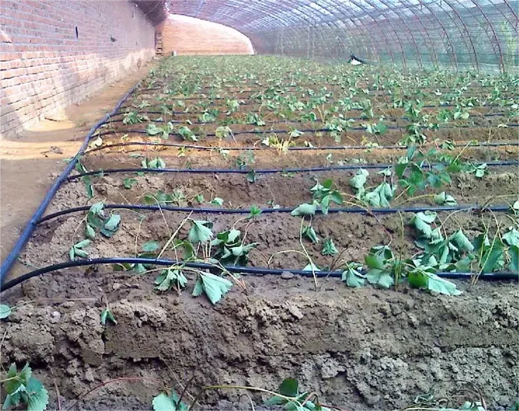 1HA Irrigation Kit Agricultura - Agriculture Farming Kit avis et prix