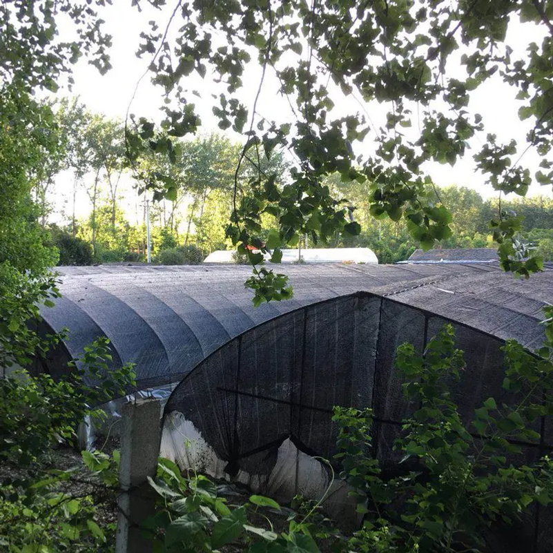 35~80% Shading Anti-UV Black H - Agriculture Farming Net avis et prix