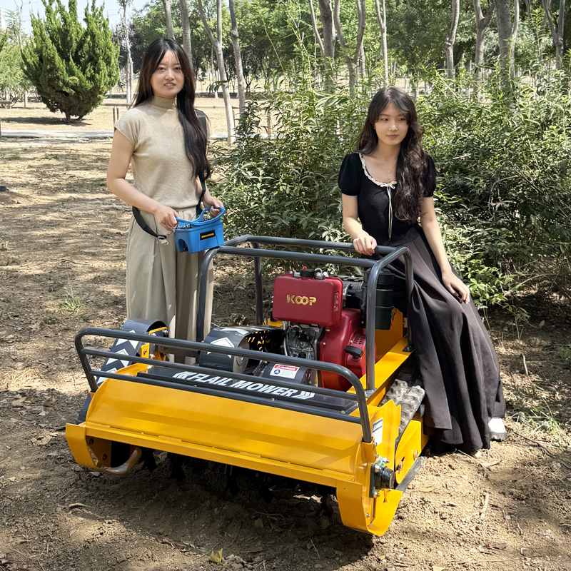 Customized Multifunctional Rem - Farming Agriculture Tools avis et prix