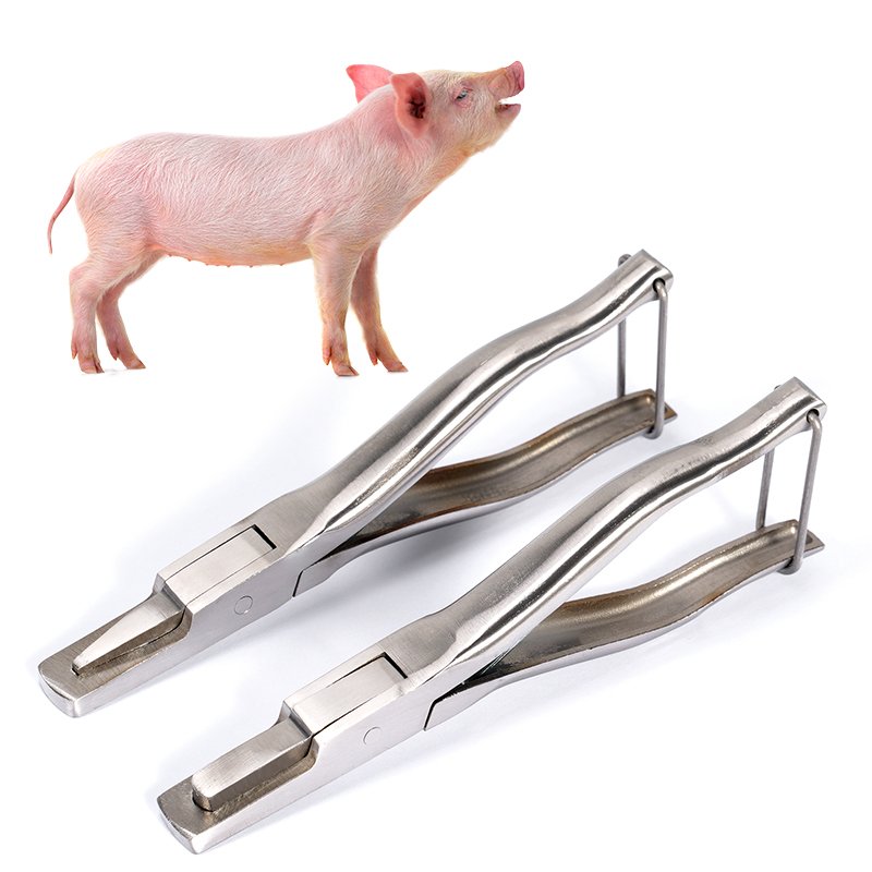 Stainless Steel Pig Ear Notche - Agriculture Farming And Livestock avis et prix