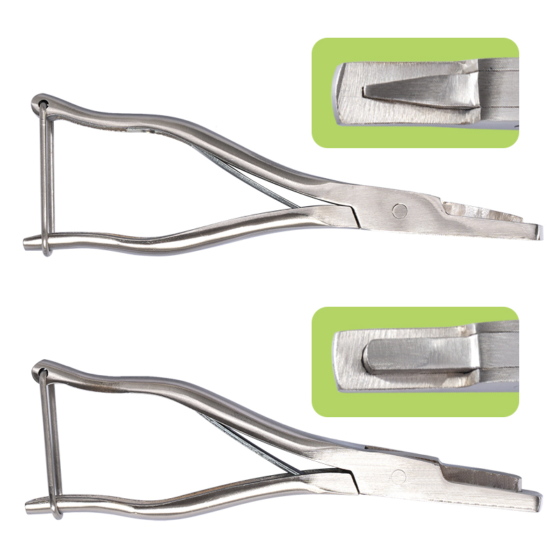 Stainless Steel Pig Ear Notche - Agriculture Farming And Livestock avis et prix