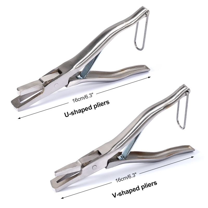 Stainless Steel Pig Ear Notche - Agriculture Farming And Livestock avis et prix