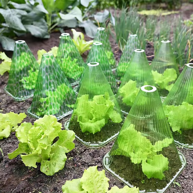 10/20pcs Plant Protective Cove - Farming Agriculture Tools avis et prix